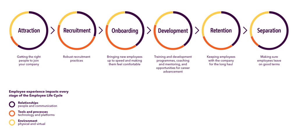A chart illustrating how employee experience impacts every stage of the employee life cycle from attraction, recruitment, onboarding, development, retention and separation
