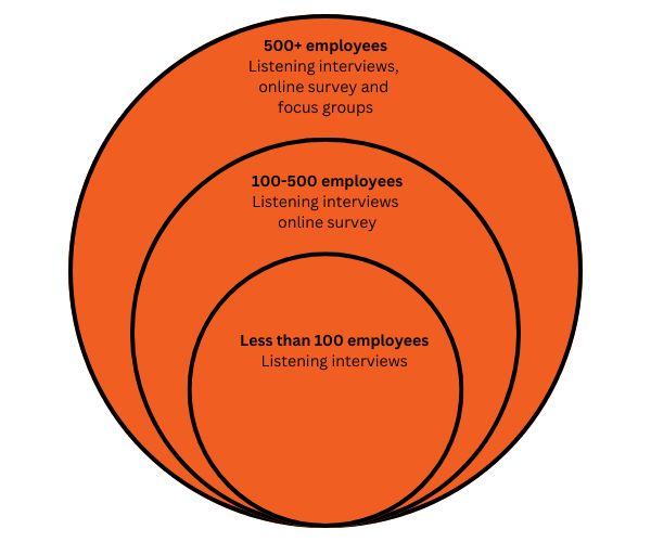 A large and medium sized circle inside a larger circle. Text within the three reads: 500 plus employees listening interviews, online survey and focus groups; 100-500 employees listening interviews online survey; and less than 100 employees listening interviews