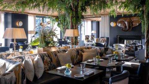 The restaurant at La Reserve featuring a mix of longitude cushioned seating and individual chairs around tables, dark walls, lamps and a large plant whose leaves extend across the ceiling